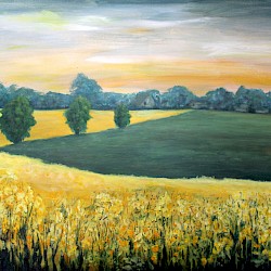 Rapsfeld, Acryl, 50x70,