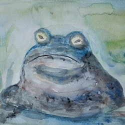 Frosch, Aquarell, 15 x 21, 2017