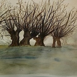 Kopfweiden, Aquarell, 20 x 30, 2019