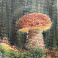 Scheinpilz, Pastellkreide, 21 x 32, 2017