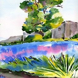Lavendelfeld, Aquarell, 2024