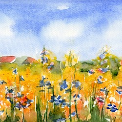 Blick über's Blumenfeld, Aquarell, 2019